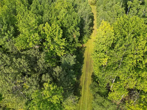 4161 County Road 9, Littlefork, MN 56653