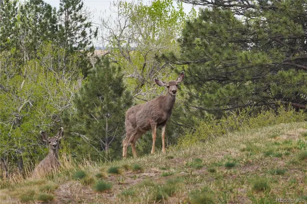 8664 Middle Fork, Boulder, CO 80302