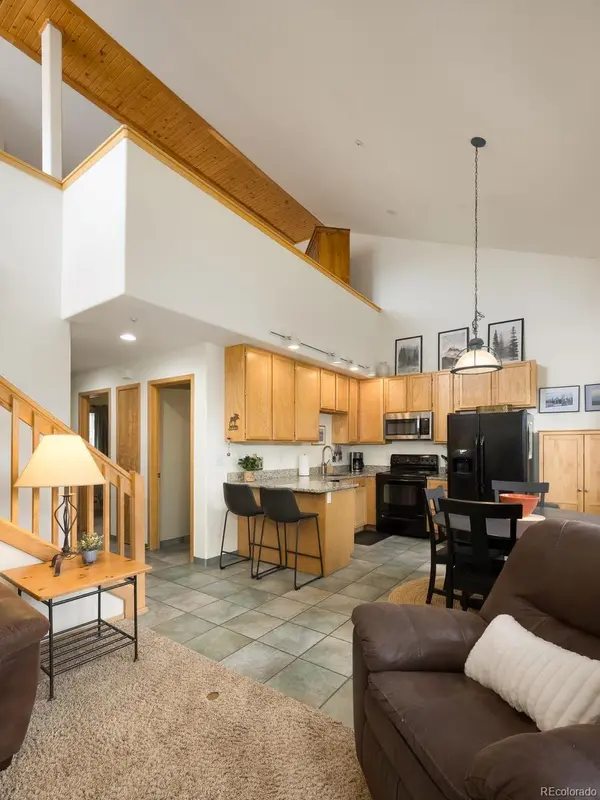 10000 Ryan Gulch RD #312, Silverthorne, CO 80498