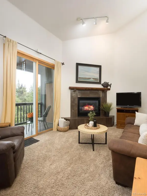 10000 Ryan Gulch RD #312, Silverthorne, CO 80498