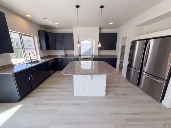 19036 Randolph PL, Denver, CO 80249