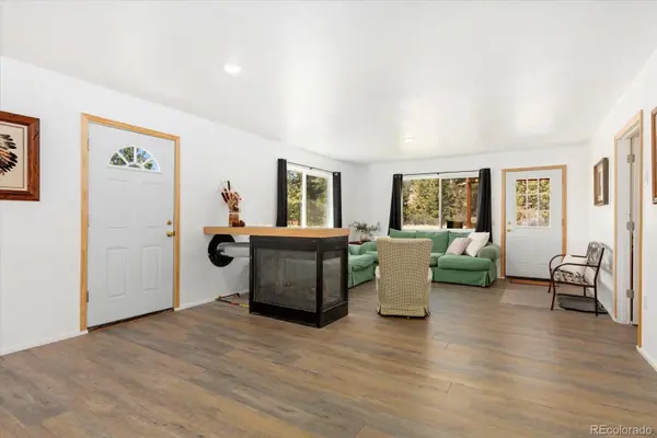 18340 S Lake RD, Buena Vista, CO 81211