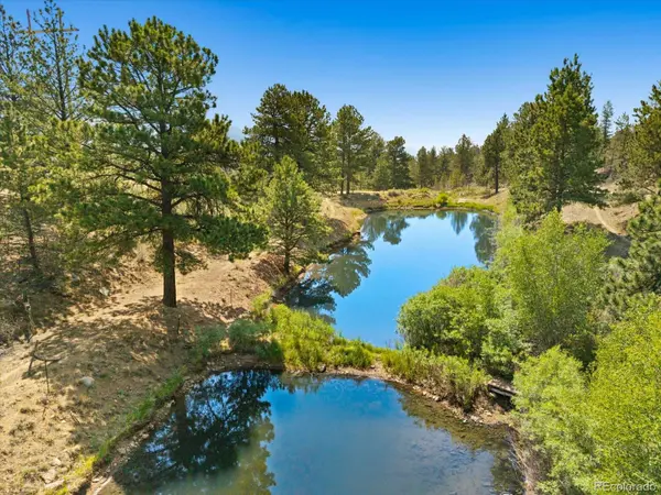 18340 S Lake RD, Buena Vista, CO 81211