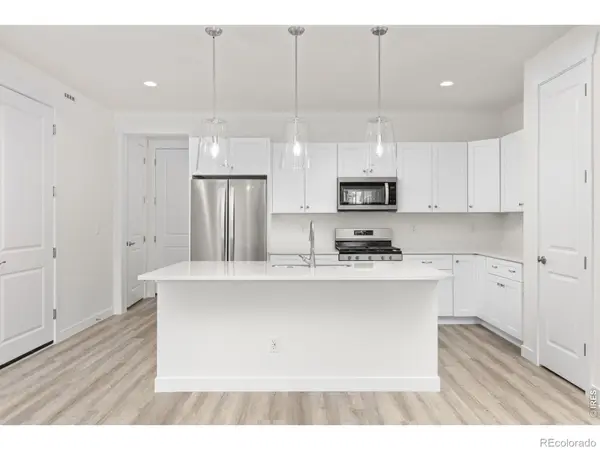161 Washington ST, Erie, CO 80516