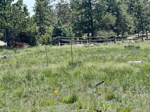 62 White Slide Mountain CT, Livermore, CO 80536