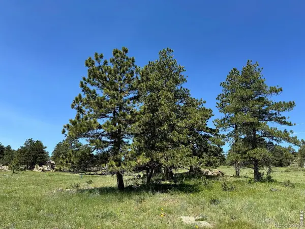 62 White Slide Mountain CT, Livermore, CO 80536