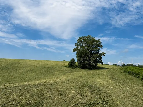 0 Potts Camp Rd, Smithville, TN 37166