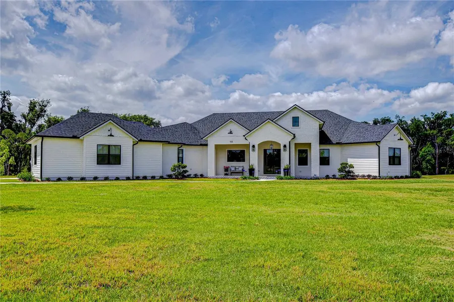 111 ALAFIA ESTATES LN, Lithia, FL 33547