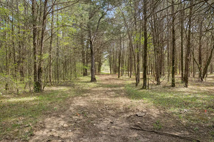 160 Osteen Ln, Chapel Hill, TN 37034