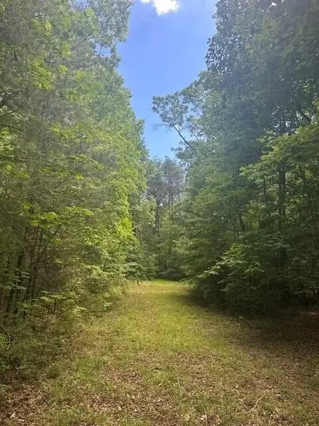 43 Bluffs Woods, Altamont, TN 37301