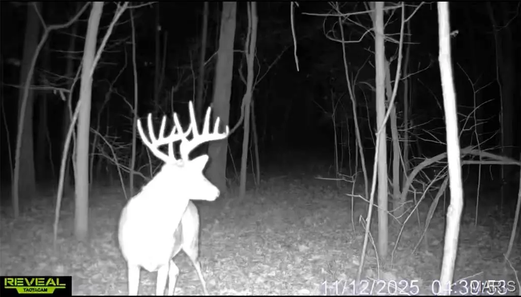 00 County 208 RD, Fayette, MO 65248