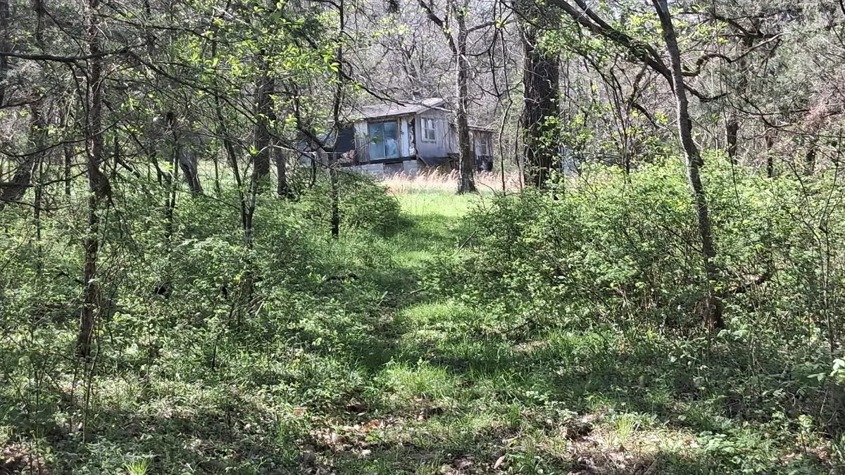 2431 Williams Rd, Cornersville, TN 37047