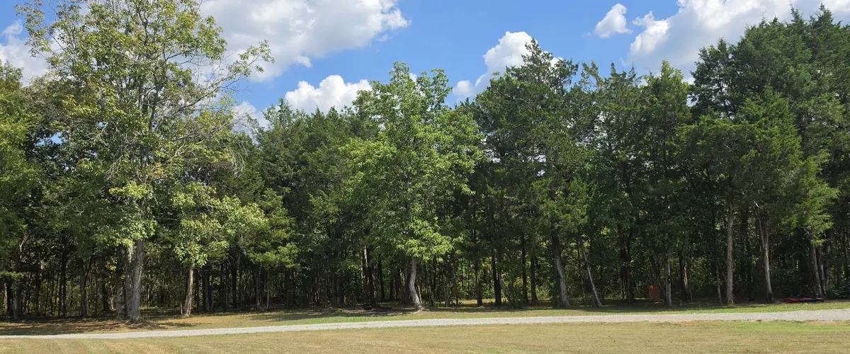 1954 SOUTH BERLIN ROAD, Lewisburg, TN 37091