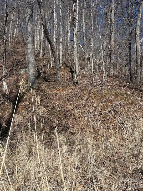 344 Running Deer LN #71, Mars Hill, NC 28754