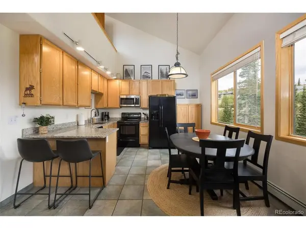 10000 Ryan Gulch #312, Silverthorne, CO 80498