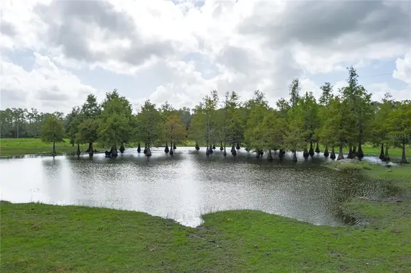 1126 COUNTY ROAD 665, Ona, FL 33865