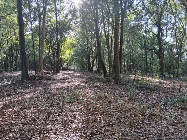 16451 FORREST LN, Groveland, FL 34736
