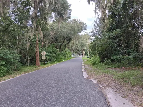 COUNTY RD 730, Webster, FL 33597