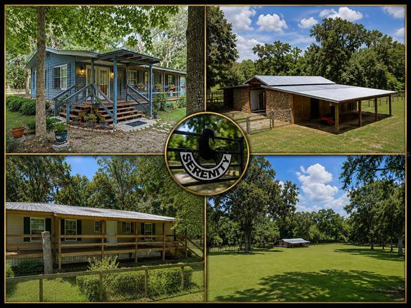18251 NW 141ST AVE, Williston, FL 32696