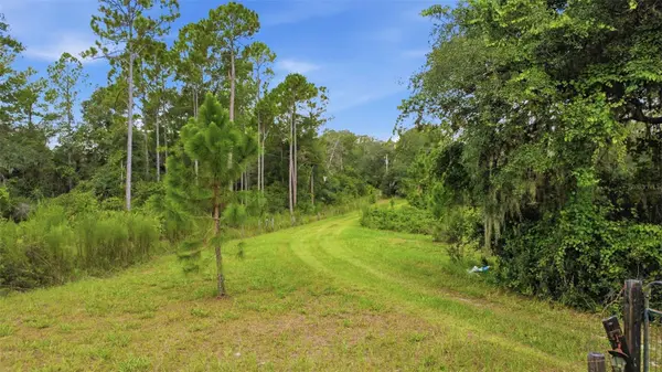 39913 SWIFT RD, Eustis, FL 32736