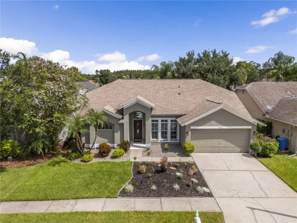 9331 PONTIAC DR, Tampa, FL 33626
