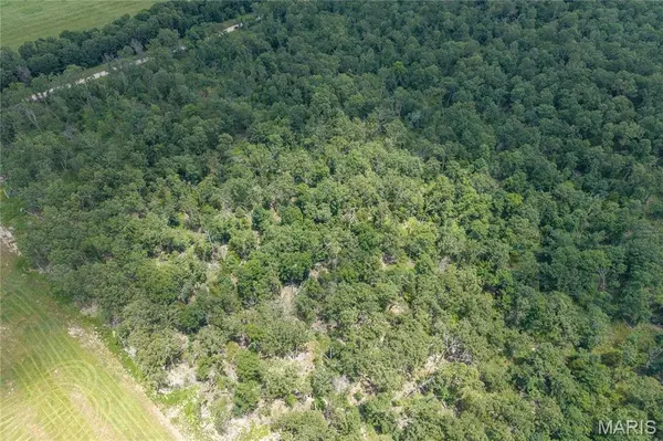 Tract 2 Keepsake RD, Stoutland, MO 65567