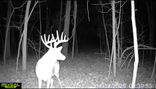 00 County 208 RD, Fayette, MO 65248