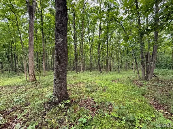 00 County 208 RD, Fayette, MO 65248