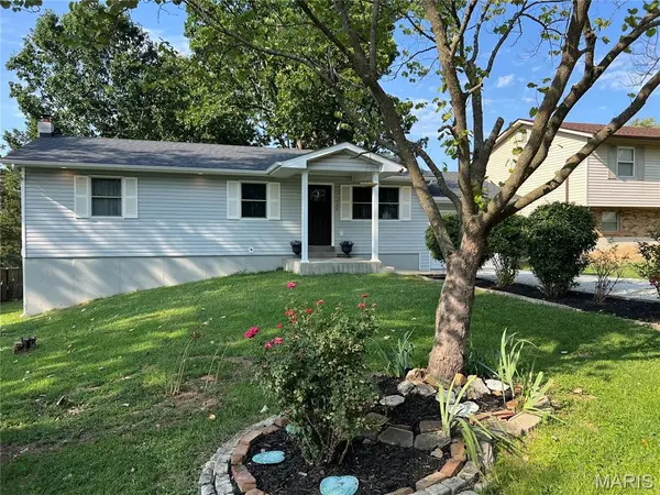 502 Donaldson ST, De Soto, MO 63020