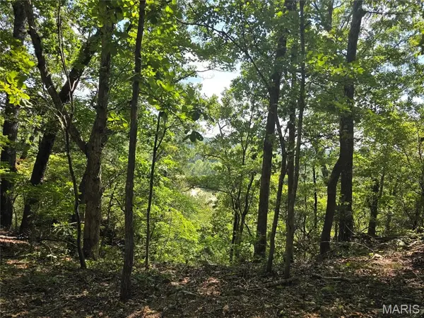 19320 Highway 8 - Tract 4, St James, MO 65559