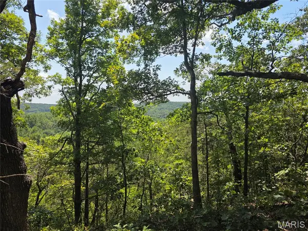 19320 Highway 8 - Tract 4, St James, MO 65559