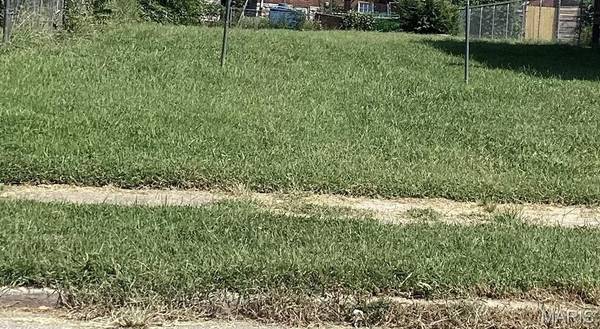 3807 Labadie AVE, St Louis, MO 63107