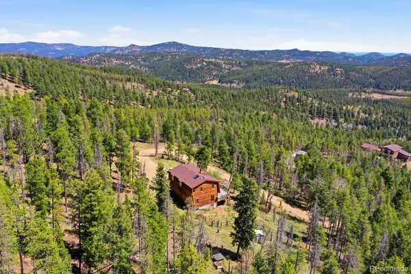 8367 S Warhawk WAY, Conifer, CO 80433