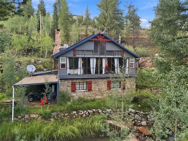222 Road P60, Bailey, CO 80421