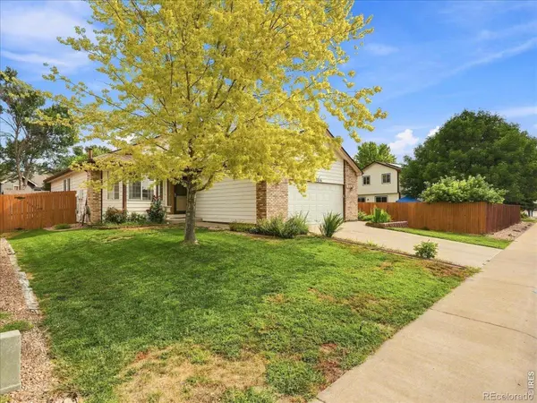 304 Tuckaway CT, Windsor, CO 80550