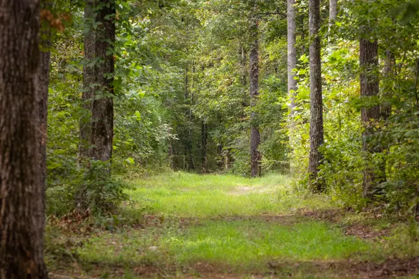 1 Ccc Road, Fairview, TN 37062