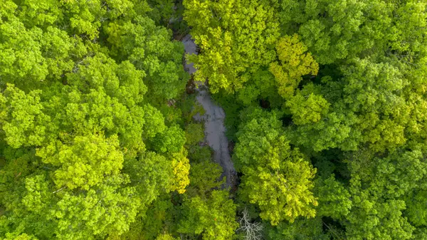 1 Ccc Road, Fairview, TN 37062