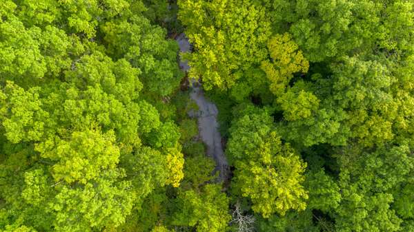 1 Ccc Road, Fairview, TN 37062