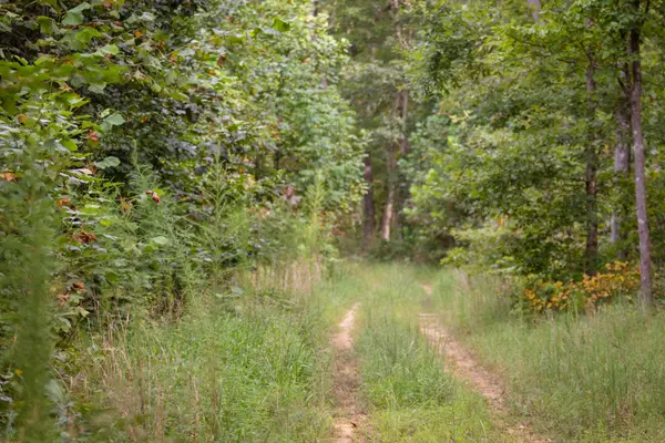 1 Ccc Road, Fairview, TN 37062