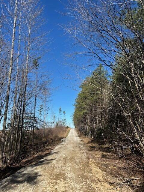 1 50th Avenue, Gruetli Laager, TN 37339