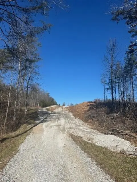 3 50th Avenue, Gruetli Laager, TN 37339
