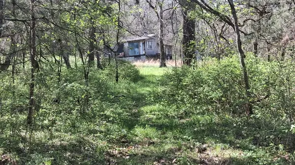 2431 Williams Rd, Cornersville, TN 37047