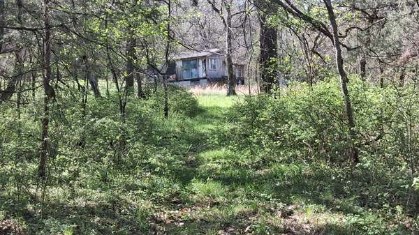 2431 Williams Rd, Cornersville, TN 37047