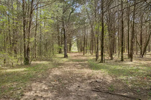 160 Osteen Ln, Chapel Hill, TN 37034