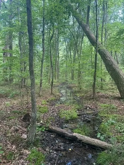 43 Bluffs Woods, Altamont, TN 37301
