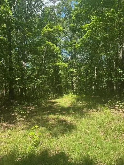 43 Bluffs Woods, Altamont, TN 37301
