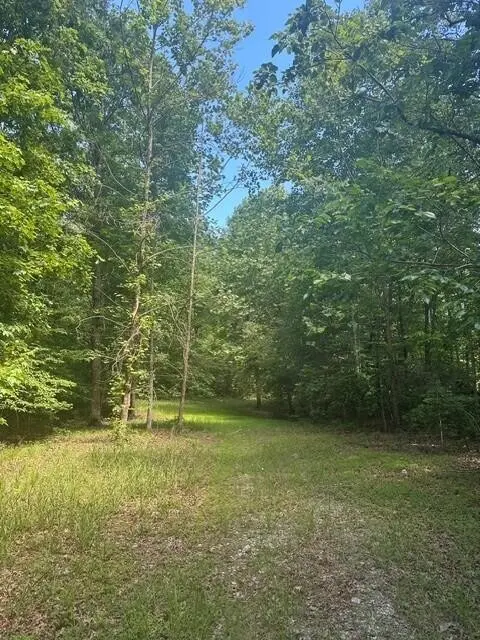 43 Bluffs Woods, Altamont, TN 37301