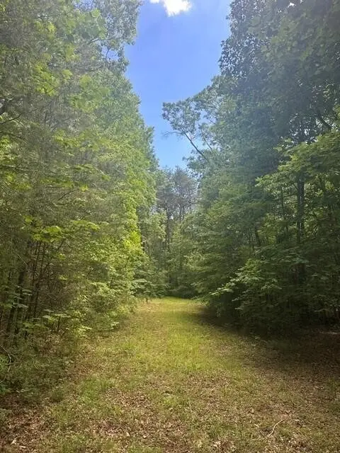 43 Bluffs Woods, Altamont, TN 37301