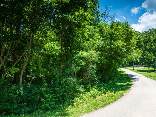 1175 McGhee Rd, Greenback, TN 37742