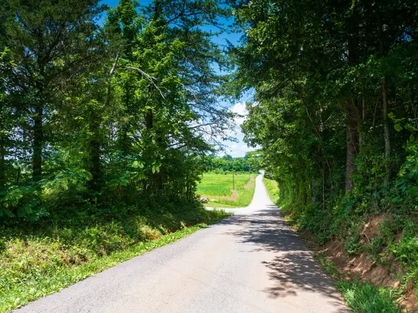 0 Mcghee Rd, Greenback, TN 37742